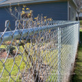 Galvanized Chainwire Fencing for Security